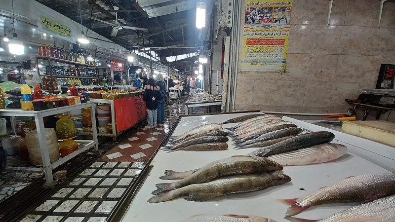 بازار ماهی بابلسر